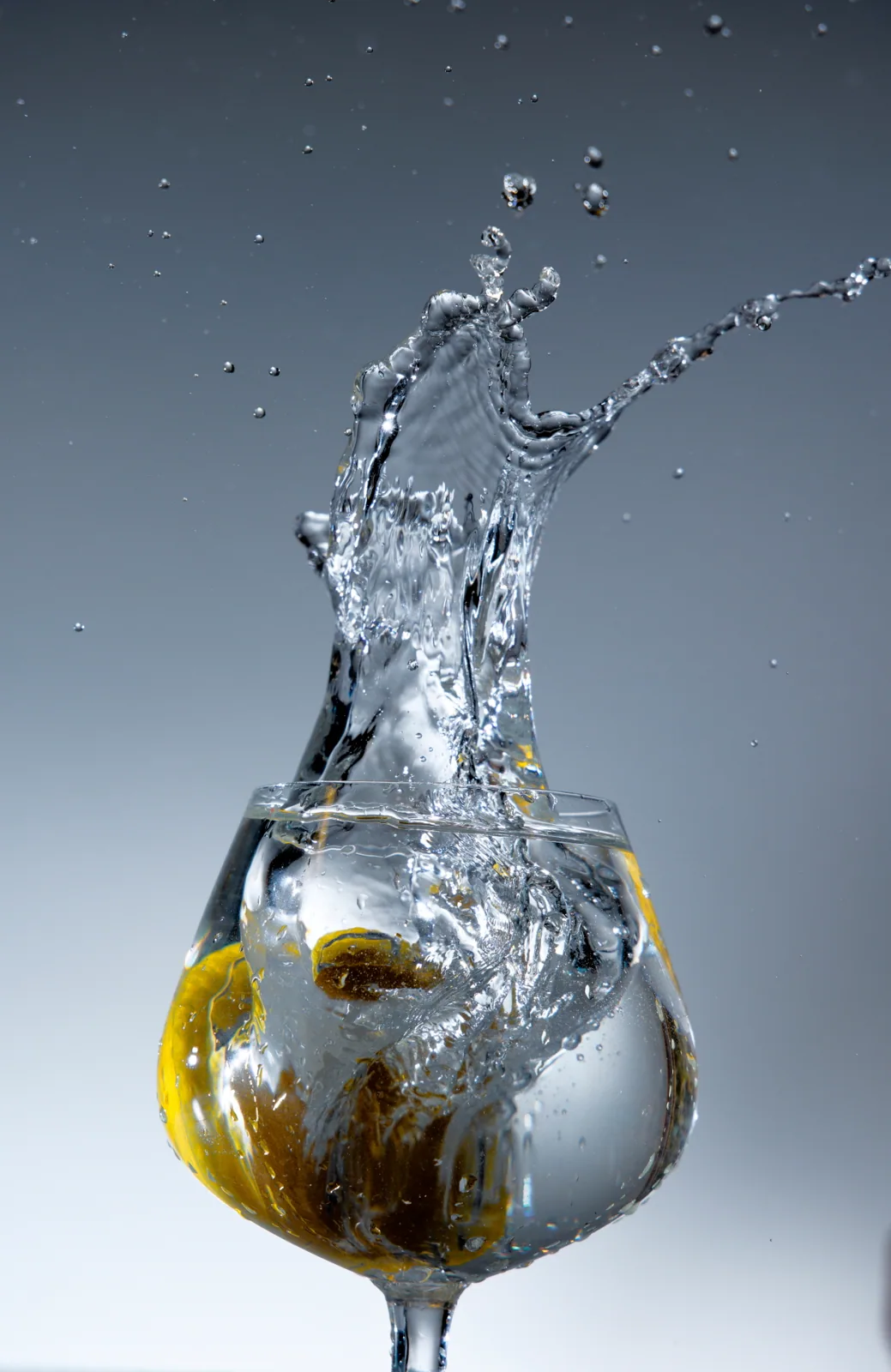 Photographie studio 10 — Numérimage 47