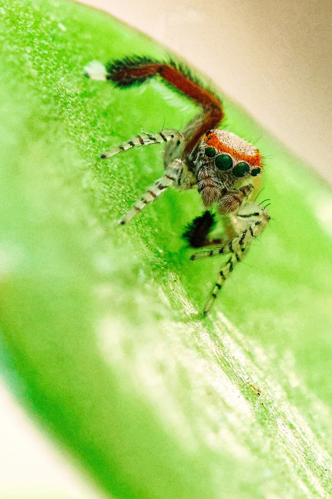 Photographie vie sauvage 14 — Numérimage 47