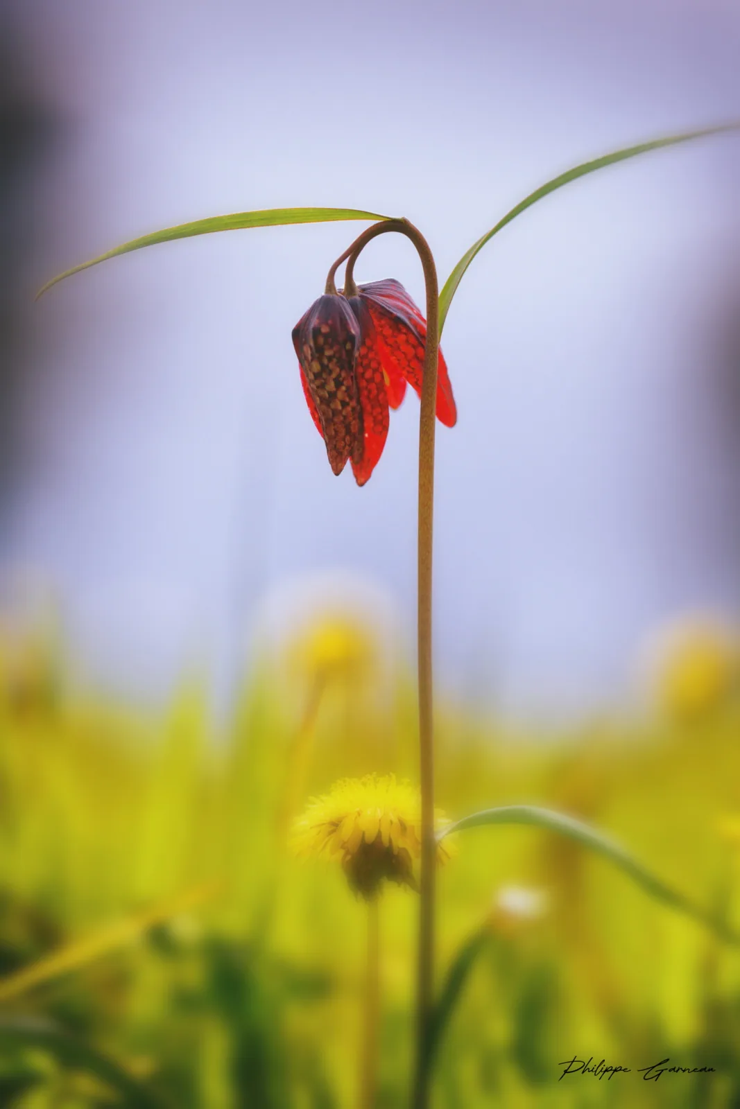 Photographie nature 6 — Numérimage 47