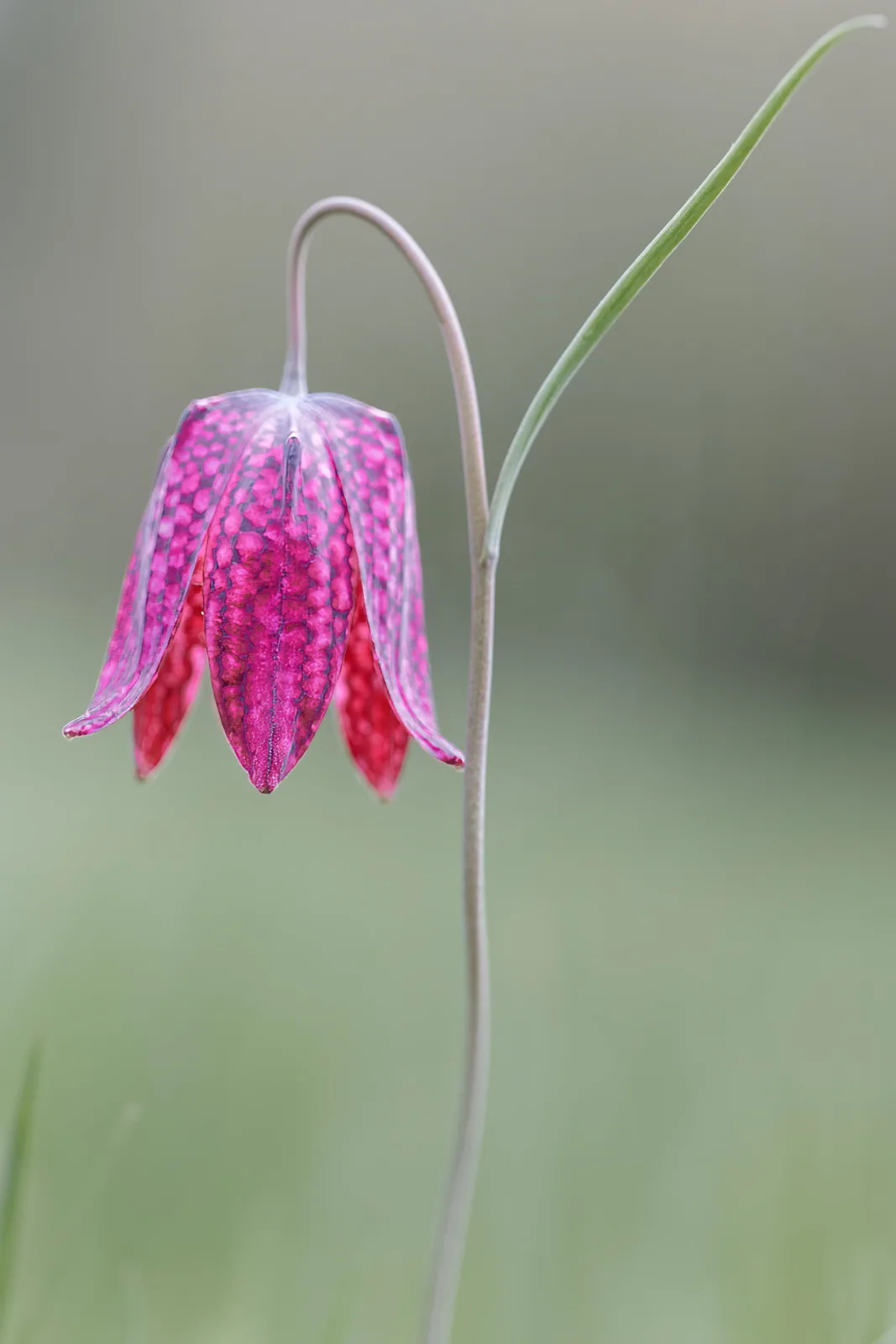 Photographie nature 10 — Numérimage 47
