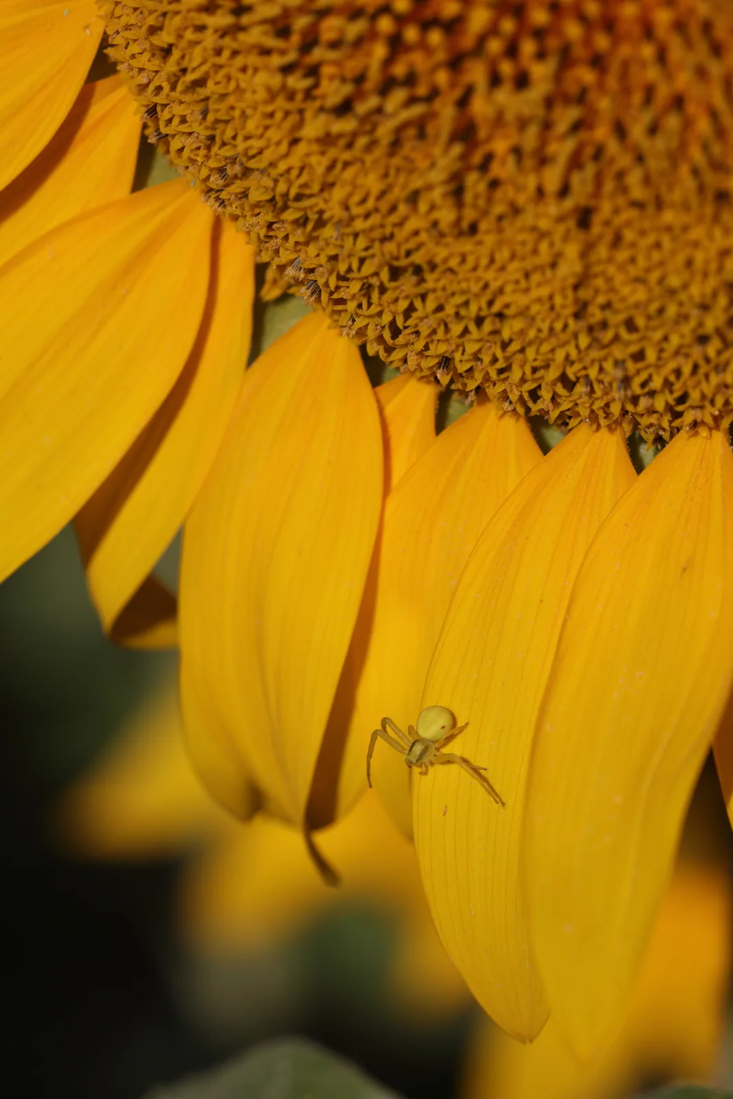 Photographie nature 1 — Numérimage 47