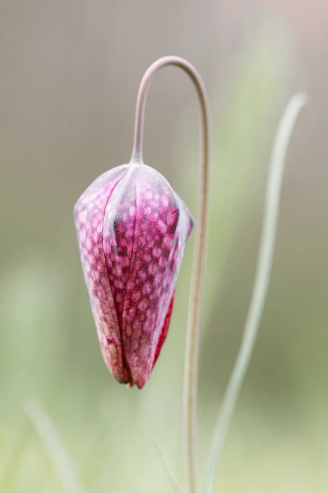 Photographie nature 3 — Numérimage 47