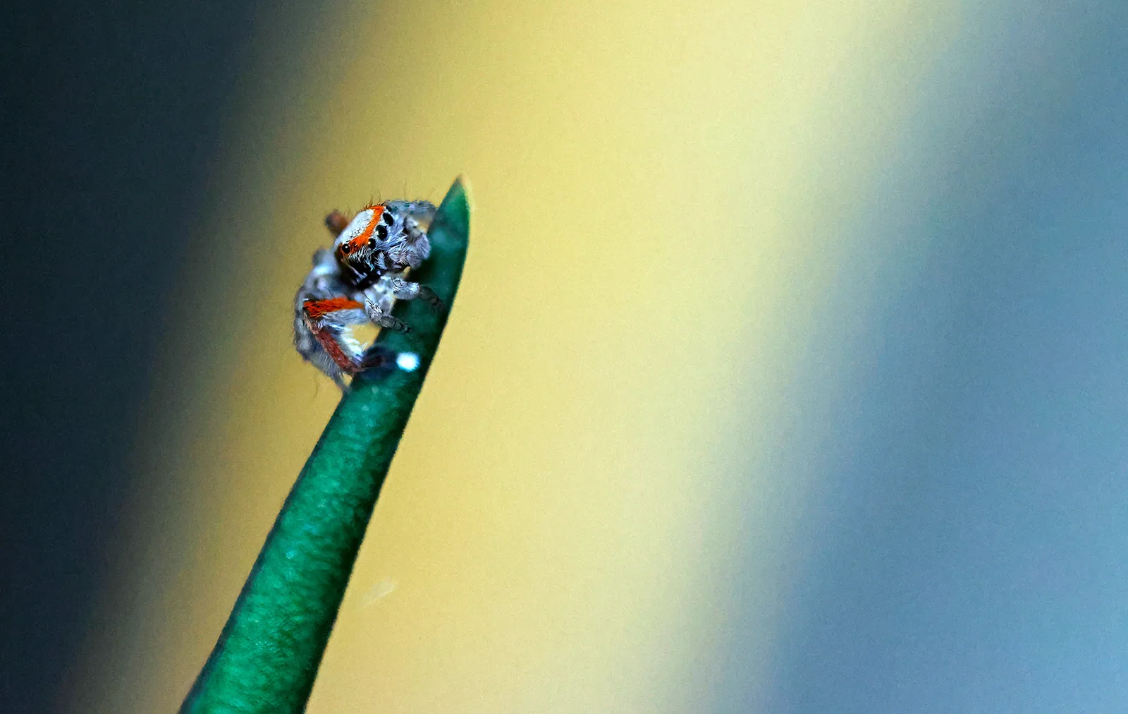 Photographie vie sauvage 27 — Numérimage 47
