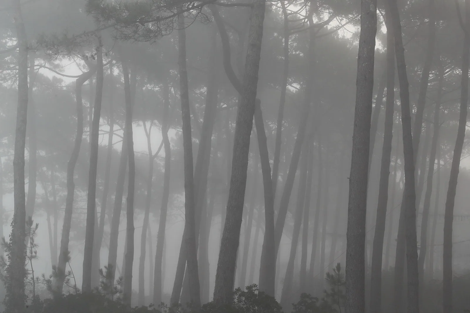 Photographie nature 8 — Numérimage 47