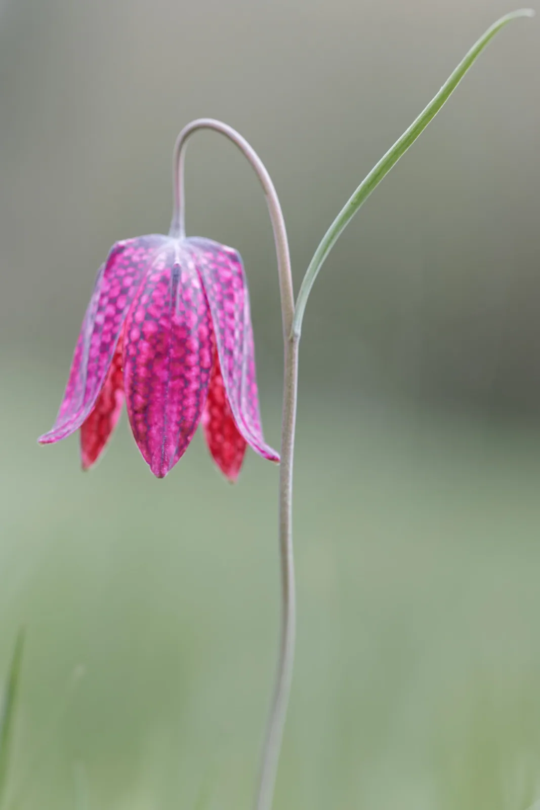Photographie nature 2 — Numérimage 47